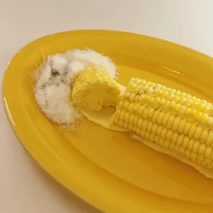 비하이브 사진