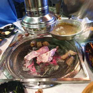 갈매기야 사진