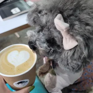 매트팩토리 사진