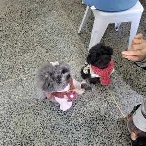 매트팩토리 리뷰 사진