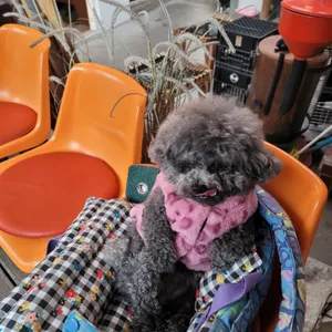 헤이림 리뷰 사진