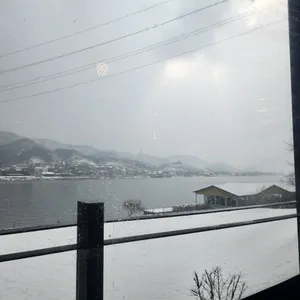 소나무향기  리뷰 사진