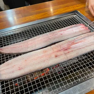 장어세상 사진