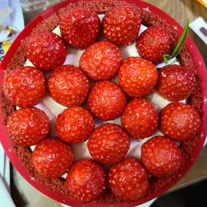 파리바게뜨 사진