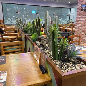 온더보더 리뷰 사진