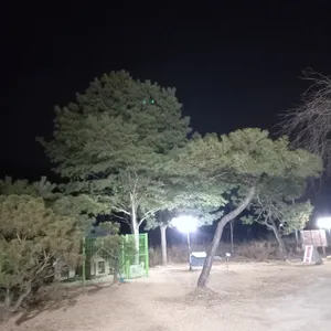 순흥선비묵집 리뷰 사진