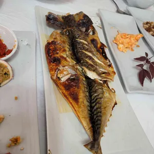 진양횟집 리뷰 사진