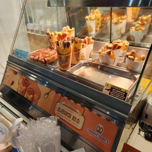 앤티앤스 사진