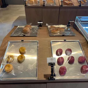 노부스테라 사진