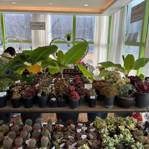 하나개팜 리뷰 사진