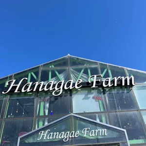 하나개팜 리뷰 사진