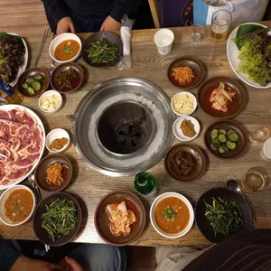 낙동생오리 사진