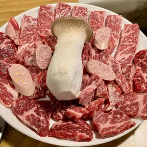 꽃보다소 사진
