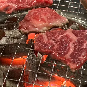 꽃보다소 사진