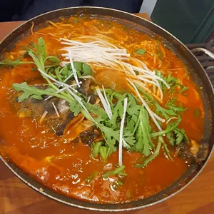 싱싱오징어바다 사진