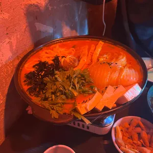 붉은낙타 사진