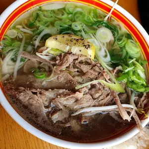 힙포 사진