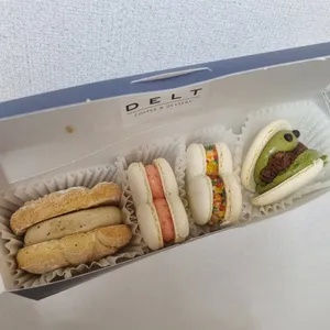 델트 사진