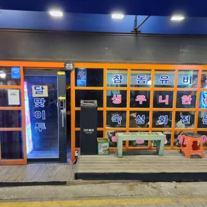 달맞이 리뷰 사진