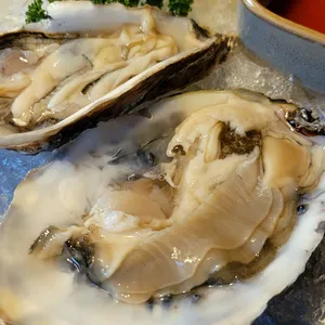 수다 사진