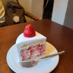 커피브론즈 리뷰 사진