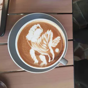 노부스테라 사진