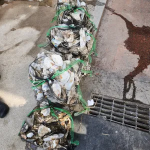 옥화주막 리뷰 사진