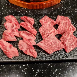 소굴 사진