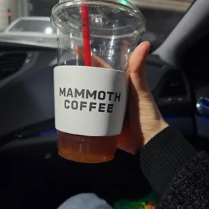 매머드익스프레스 사진