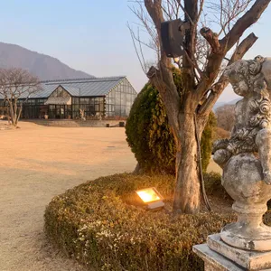 프라움 레스토랑 리뷰 사진
