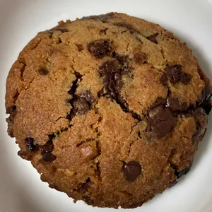 커피버넷 사진