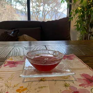 갤러리이 사진