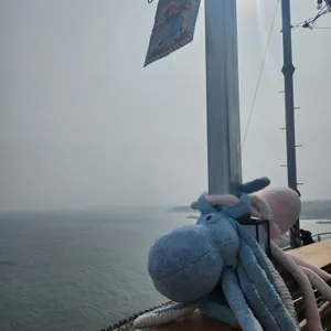 바람의언덕 동해 타파스 와인 리뷰 사진