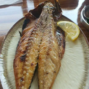 올고존 사진