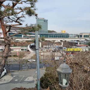 바위꽃 리뷰 사진