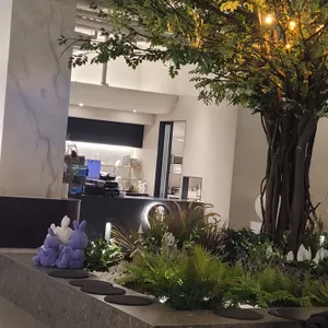 캄 리뷰 사진