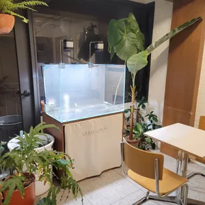로컬커피스탠드 리뷰 사진