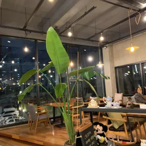 리디앤폴 리뷰 사진