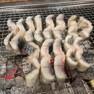 일도장어 사진