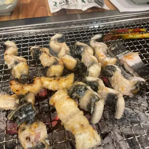일도장어 사진