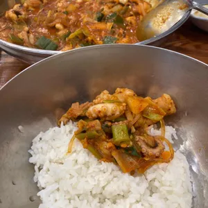 개미집 사진
