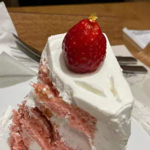아티제 사진