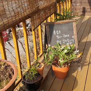 동심 리뷰 사진