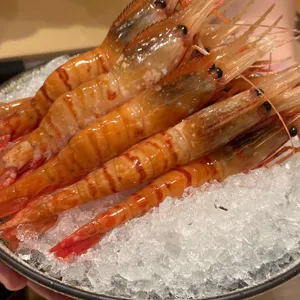 나카지마 고에몽 사진