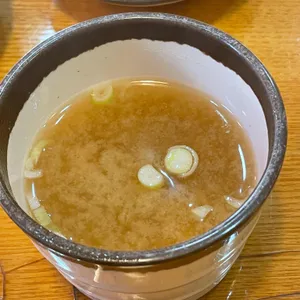쌍둥이네 사진