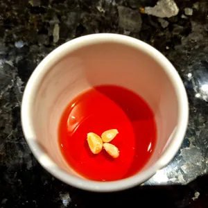 우화 리뷰 사진