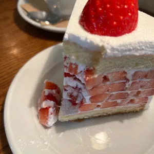 커피브론즈 사진