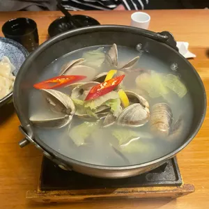 나무 사진