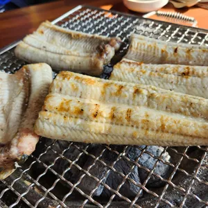 폭풍장어 사진