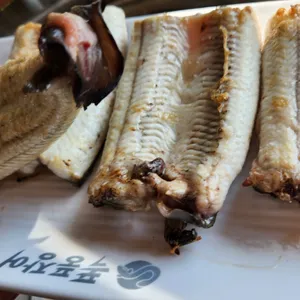 폭풍장어 사진
